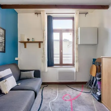 Cosy Studio A Prox Du Musee D'histoire Naturelle Apartamento Lille