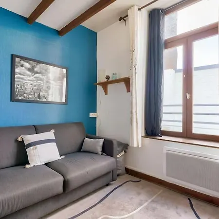 Cosy Studio A Prox Du Musee D'histoire Naturelle Appartement